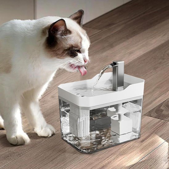 FONTAINE A EAU CHAT| FéliFresh - Chicetchat
