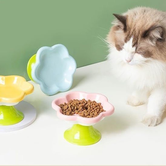 Gamelle chat | Pause Gourmande - Chicetchat