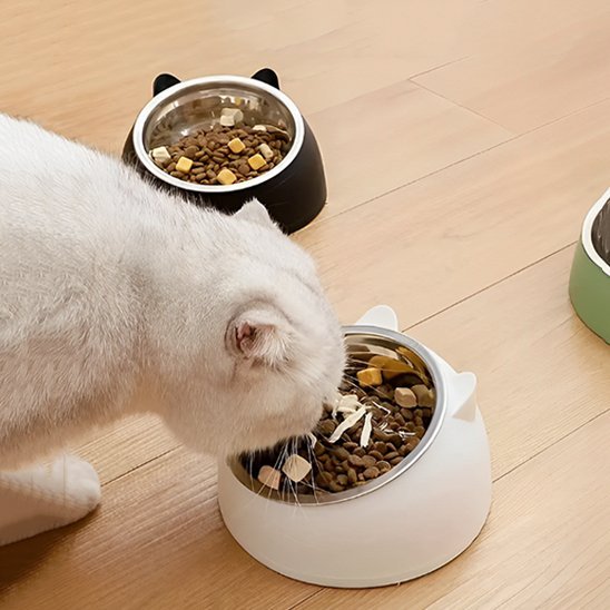 Gamelle chat | Minora - Chicetchat