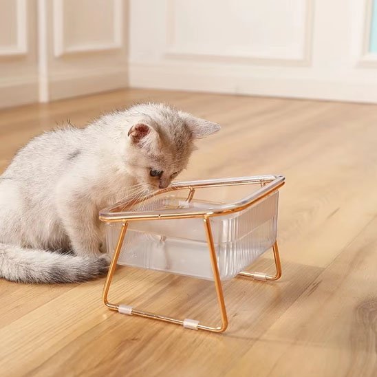 Gamelle chat | Douce Patte - Chicetchat