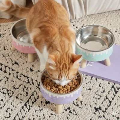 Gamelle Chat surélevée | Bois & Moustaches - Chicetchat