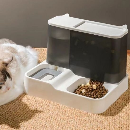 Distributeur de croquettes pour chat | AutoFeed - Chicetchat