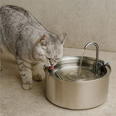 Fontaine à eau pour chat | Premium Inox - Chicetchat