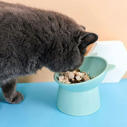 Gamelle chat | DoucePatte - Chicetchat