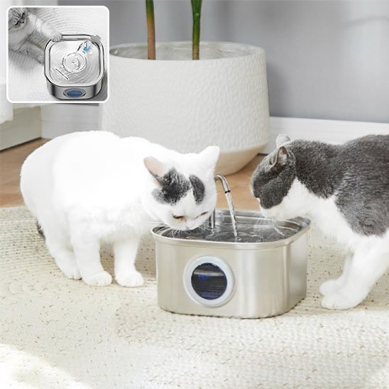 FONTAINE A EAU CHAT | Inox Santé - Chicetchat