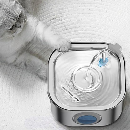 FONTAINE A EAU CHAT | Inox Santé - Chicetchat