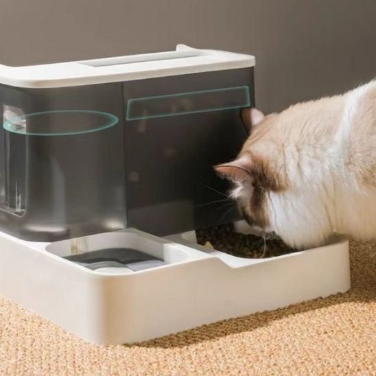 Distributeur de croquettes pour chat | AutoFeed - Chicetchat