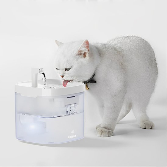 Fontaine a eau chat | ROJECO - Ma boutique