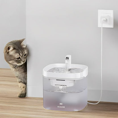 Fontaine a eau chat | ROJECO - Ma boutique