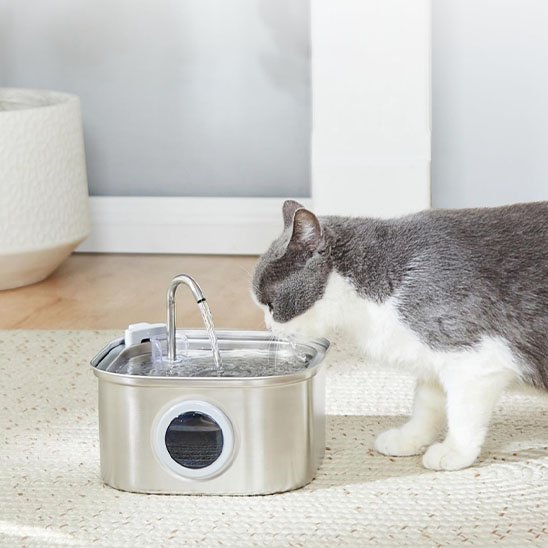 FONTAINE A EAU CHAT | Inox Santé - Chicetchat