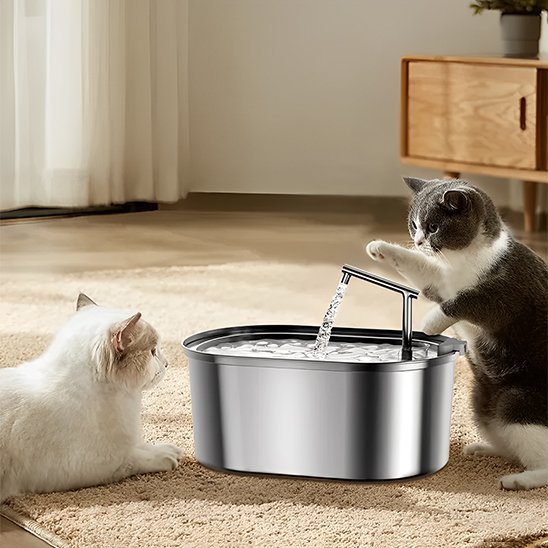 FONTAINE A EAU CHAT | Inox Santé Premium - Chicetchat