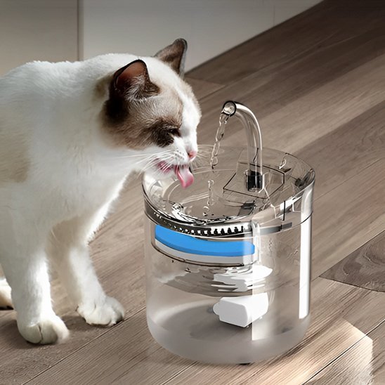 Fontaine a eau chat | PréventCare - Ma boutique