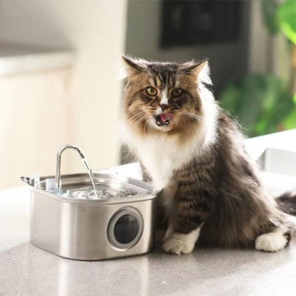 FONTAINE A EAU CHAT | Inox Santé - Chicetchat