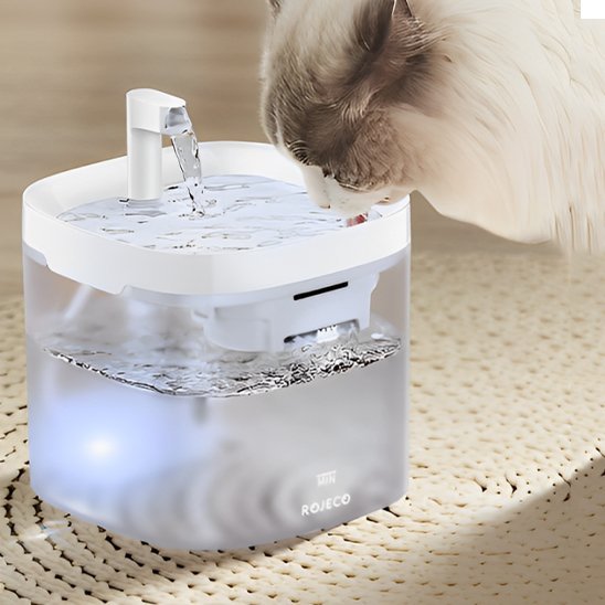 Fontaine a eau chat | ROJECO - Ma boutique