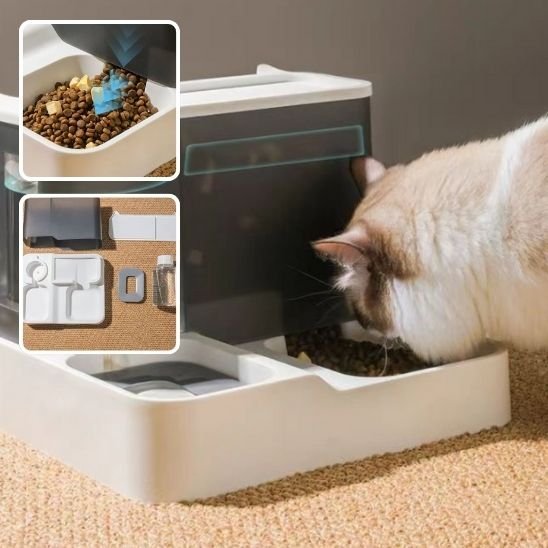 Distributeur de croquettes pour chat | AutoFeed - Chicetchat