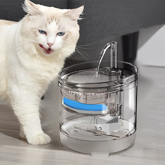 Fontaine a eau chat | PréventCare - Ma boutique