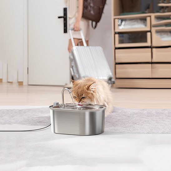 FONTAINE A EAU CHAT | Inox Santé Premium - Chicetchat
